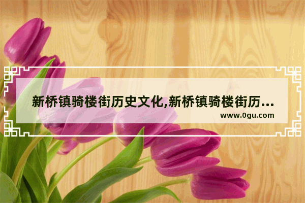 新桥镇骑楼街历史文化,新桥镇骑楼街历史文化