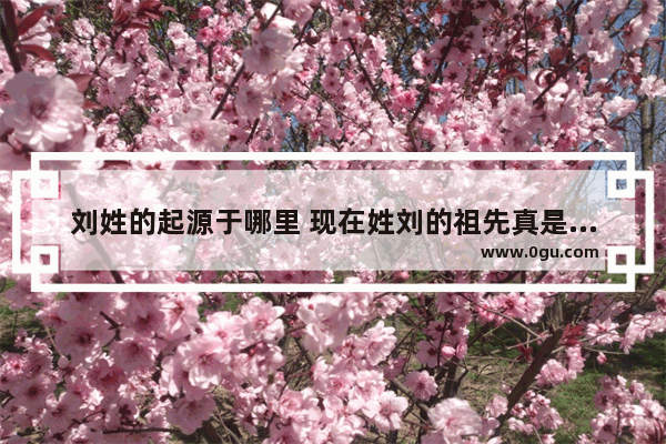 刘姓的起源于哪里 现在姓刘的祖先真是那些人吗_定州历史文化探究报告