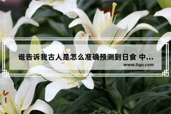 谁告诉我古人是怎么准确预测到日食 中国历史日食