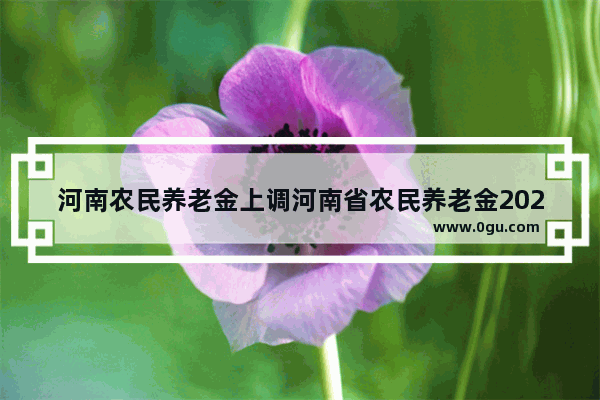 河南农民养老金上调河南省农民养老金2023年涨了吗最新消息,中国历史河南农民