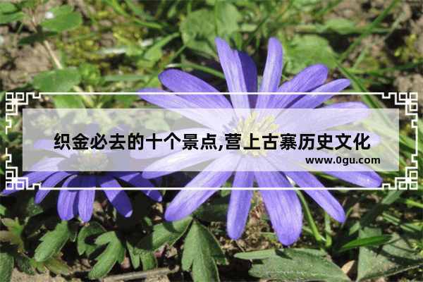 织金必去的十个景点,营上古寨历史文化