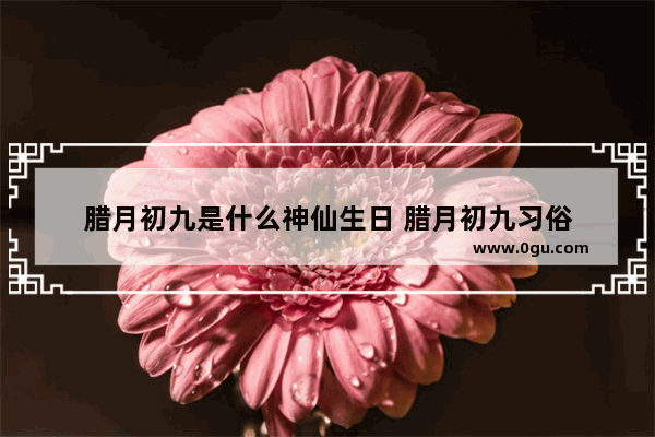 腊月初九是什么神仙生日 腊月初九习俗
