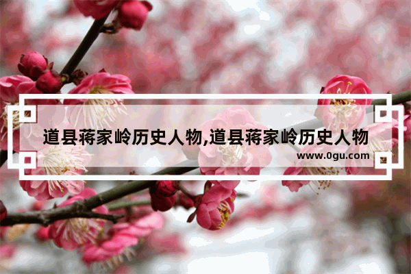 道县蒋家岭历史人物,道县蒋家岭历史人物