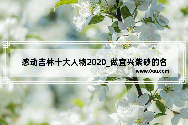 感动吉林十大人物2020_做宜兴紫砂的名人