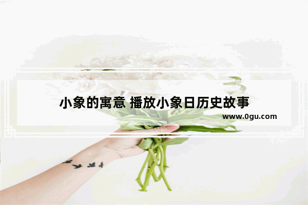 小象的寓意 播放小象日历史故事