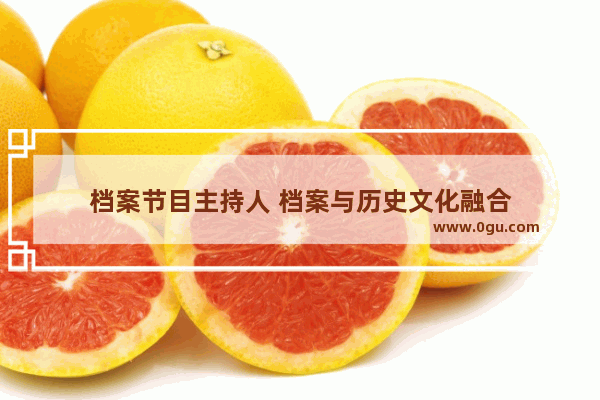 档案节目主持人 档案与历史文化融合