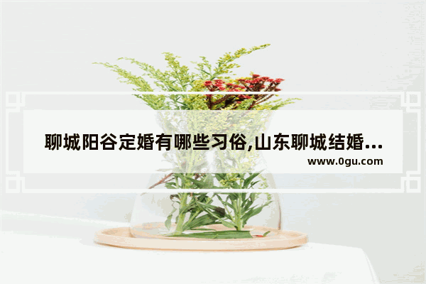 聊城阳谷定婚有哪些习俗,山东聊城结婚习俗