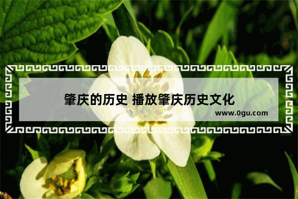 肇庆的历史 播放肇庆历史文化