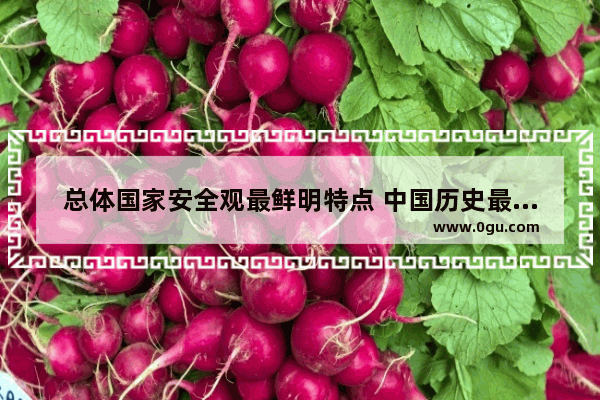 总体国家安全观最鲜明特点 中国历史最安全之地
