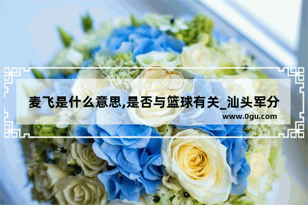 麦飞是什么意思,是否与篮球有关_汕头军分区历史人物