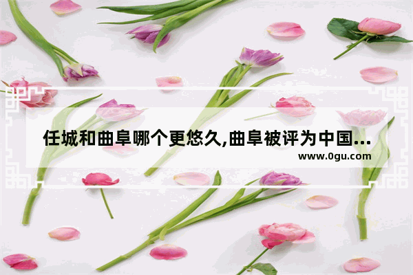 任城和曲阜哪个更悠久,曲阜被评为中国历史
