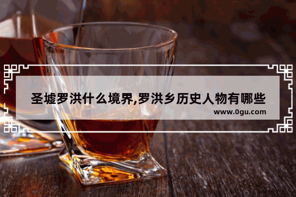 圣墟罗洪什么境界,罗洪乡历史人物有哪些