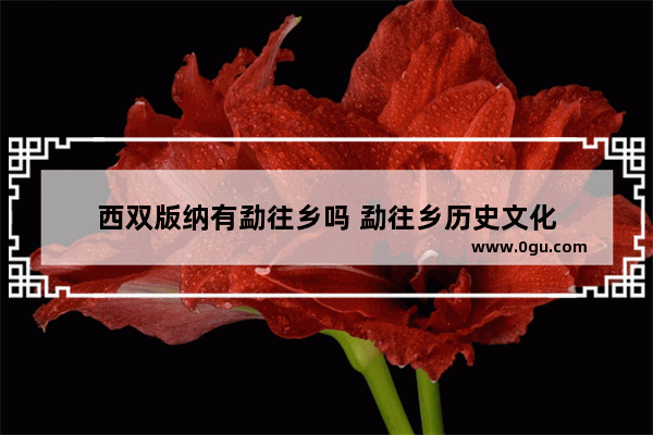 西双版纳有勐往乡吗 勐往乡历史文化