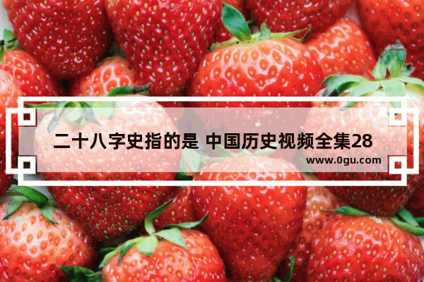 二十八字史指的是 中国历史视频全集28