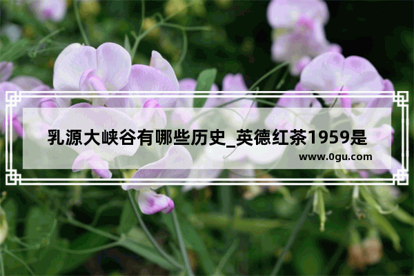 乳源大峡谷有哪些历史_英德红茶1959是什么意思