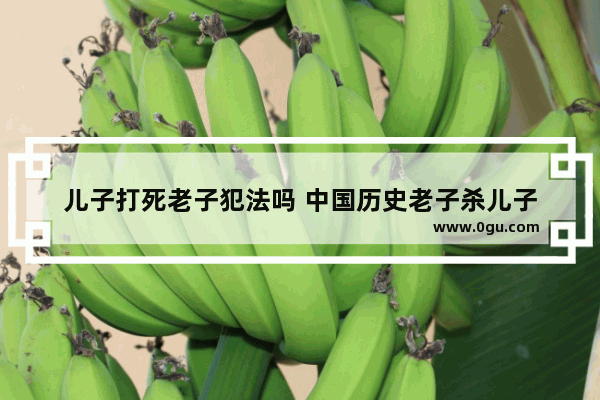 儿子打死老子犯法吗 中国历史老子杀儿子
