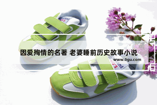 因爱殉情的名著 老婆睡前历史故事小说