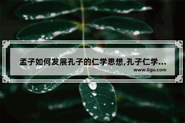 孟子如何发展孔子的仁学思想,孔子仁学在中国历史