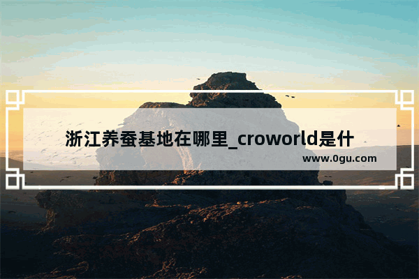 浙江养蚕基地在哪里_croworld是什么牌子