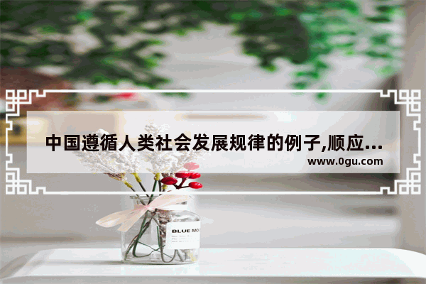 中国遵循人类社会发展规律的例子,顺应历史规律的故事