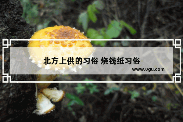 北方上供的习俗 烧钱纸习俗