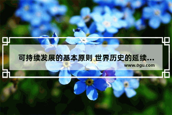 可持续发展的基本原则 世界历史的延续性和阶段性