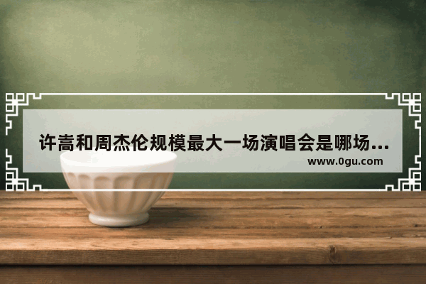 许嵩和周杰伦规模最大一场演唱会是哪场 分别有多少人_世界上最大的乐器是什么