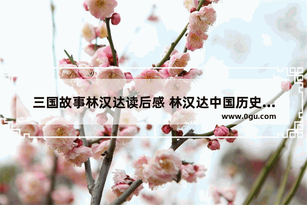 三国故事林汉达读后感 林汉达中国历史故事读后感