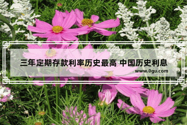 三年定期存款利率历史最高 中国历史利息