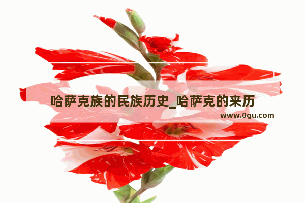 哈萨克族的民族历史_哈萨克的来历