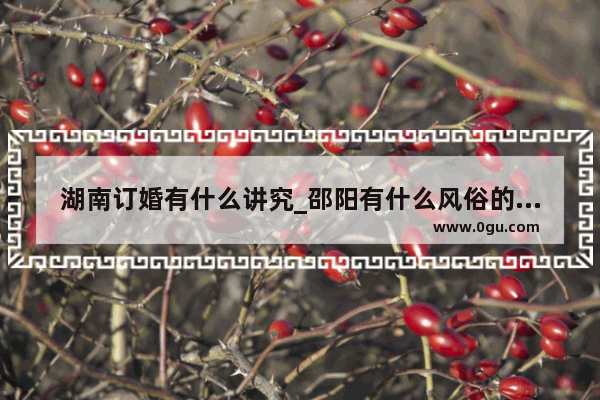 湖南订婚有什么讲究_邵阳有什么风俗的作文