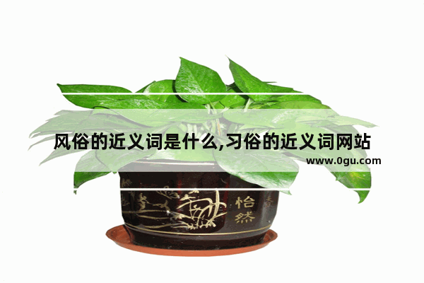 风俗的近义词是什么,习俗的近义词网站