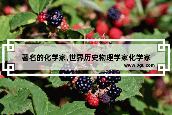 著名的化学家,世界历史物理学家化学家