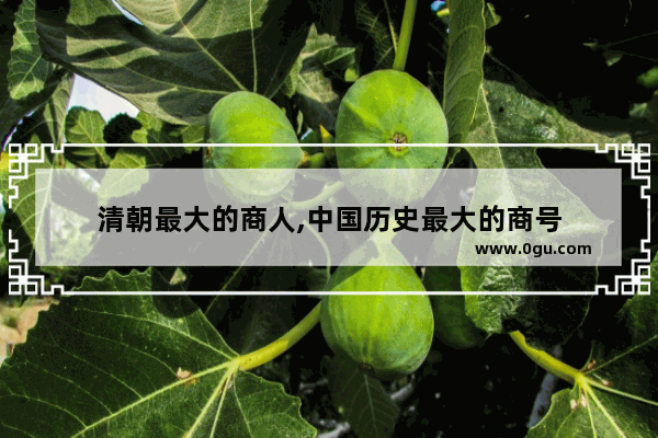 清朝最大的商人,中国历史最大的商号