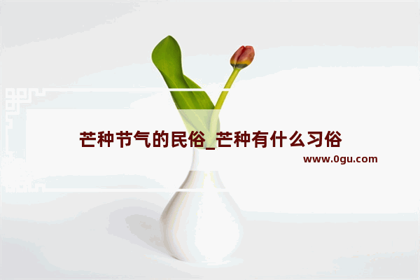 芒种节气的民俗_芒种有什么习俗