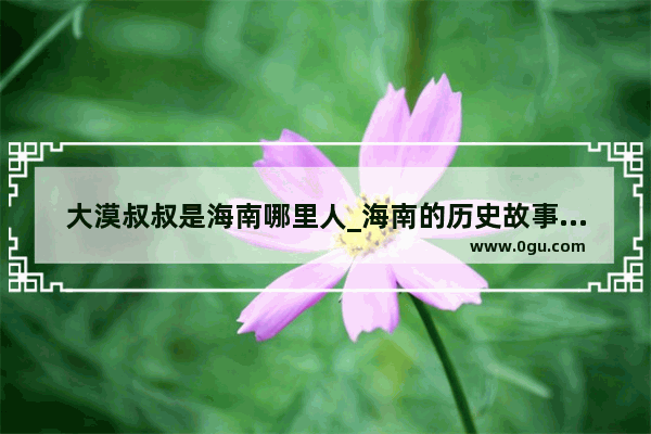 大漠叔叔是海南哪里人_海南的历史故事视频