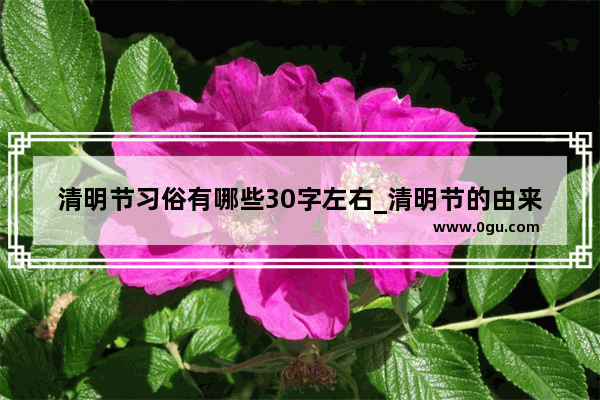 清明节习俗有哪些30字左右_清明节的由来30字