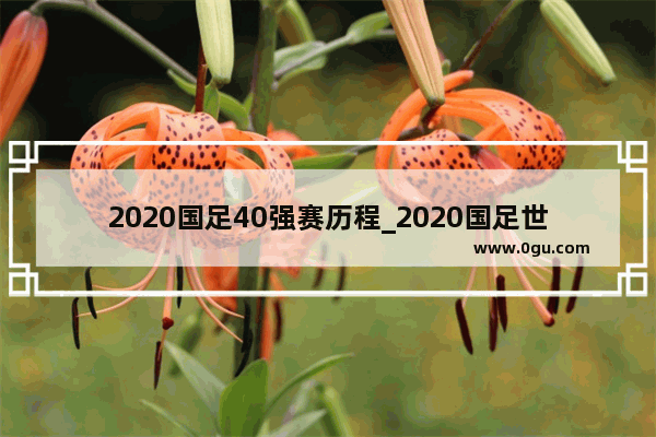 2020国足40强赛历程_2020国足世预赛中国成绩回顾