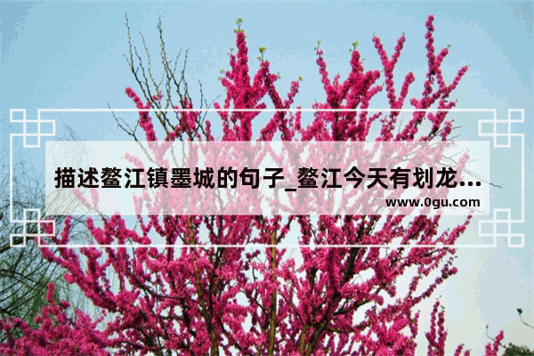 描述鳌江镇墨城的句子_鳌江今天有划龙舟吗