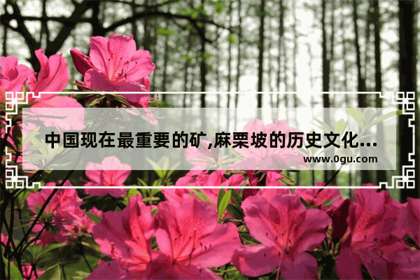 中国现在最重要的矿,麻栗坡的历史文化价值