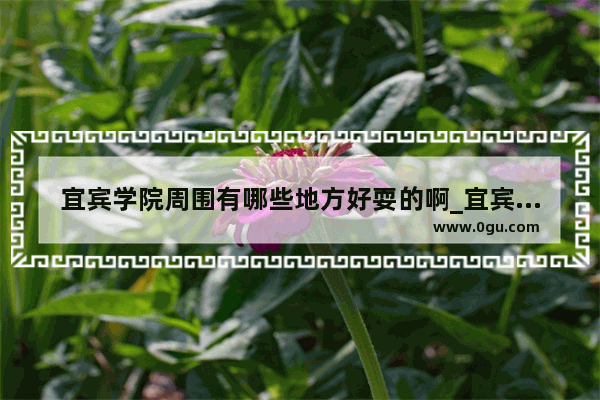 宜宾学院周围有哪些地方好耍的啊_宜宾敬业路怎么玩