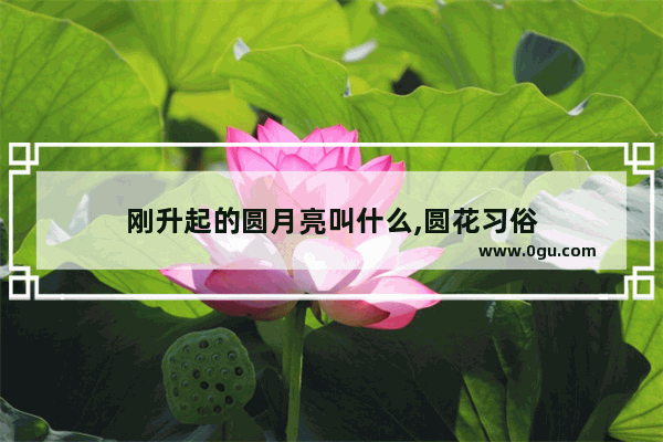 刚升起的圆月亮叫什么,圆花习俗