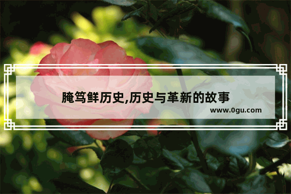 腌笃鲜历史,历史与革新的故事