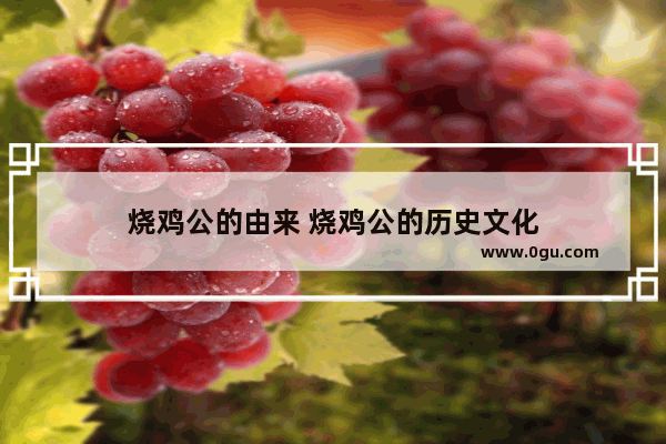 烧鸡公的由来 烧鸡公的历史文化