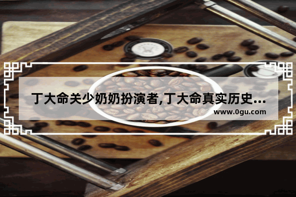 丁大命关少奶奶扮演者,丁大命真实历史人物