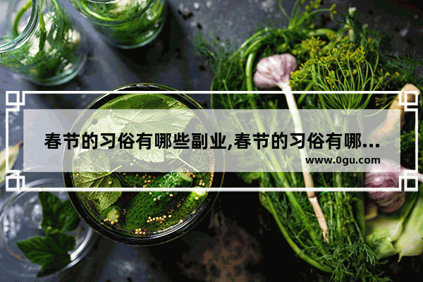 春节的习俗有哪些副业,春节的习俗有哪些副业