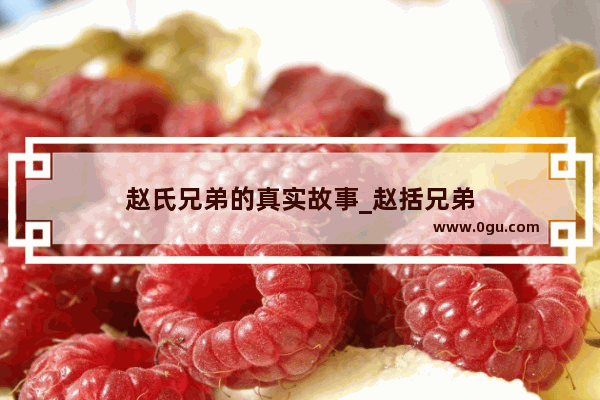 赵氏兄弟的真实故事_赵括兄弟