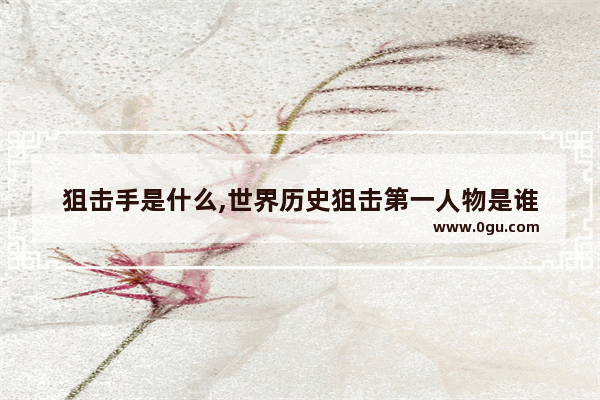 狙击手是什么,世界历史狙击第一人物是谁