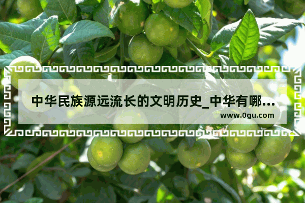 中华民族源远流长的文明历史_中华有哪些悠久的历史文化