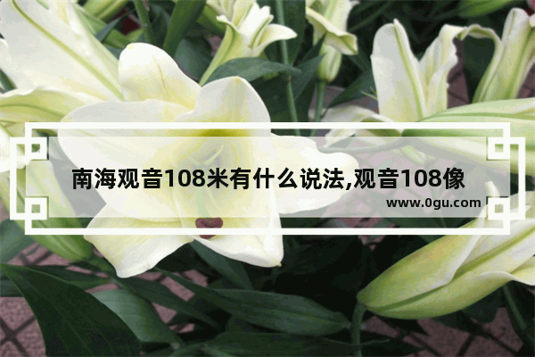 南海观音108米有什么说法,观音108像历史文化